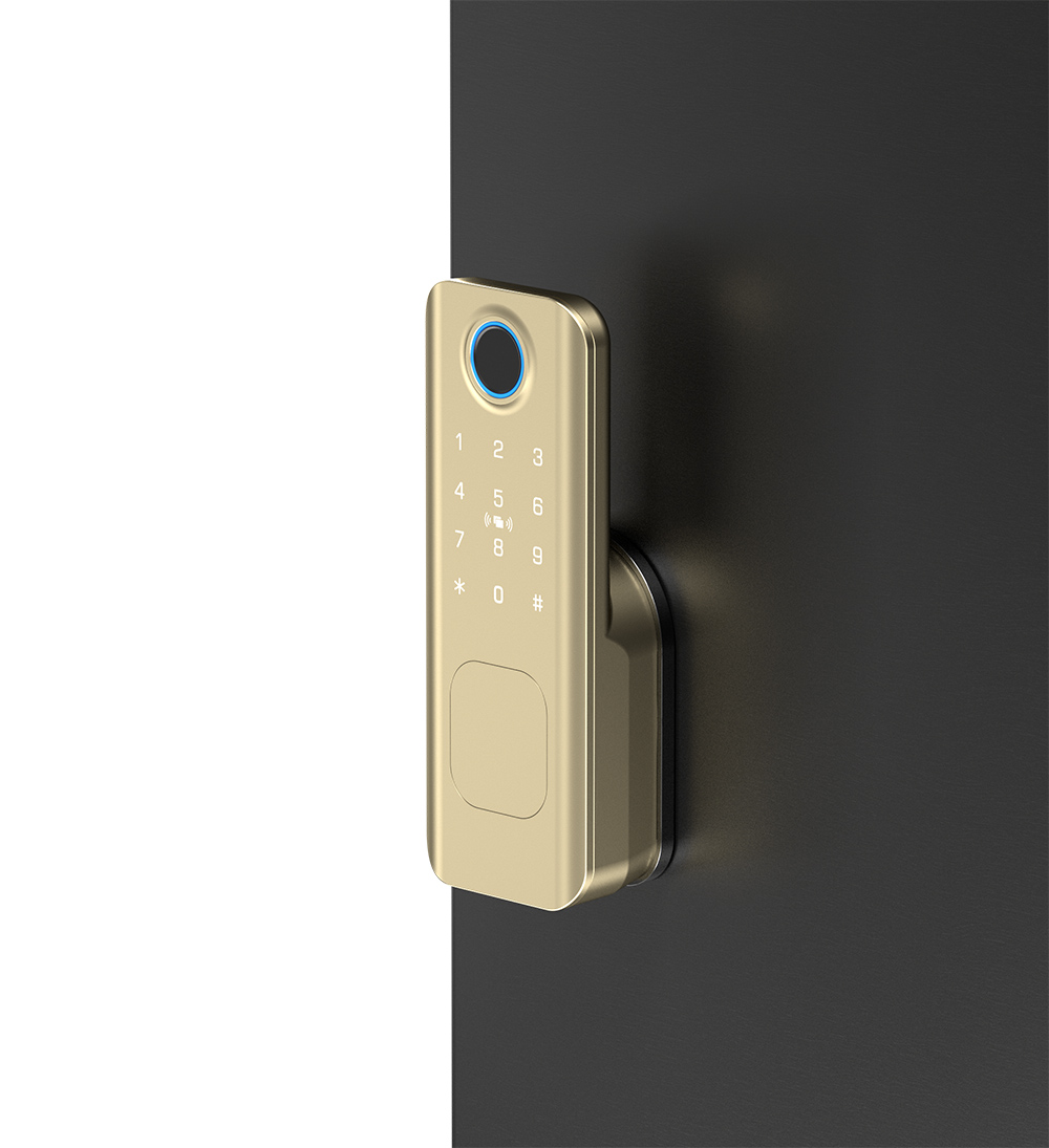 Rim Type Fingerprint Door Lock YFF-N1