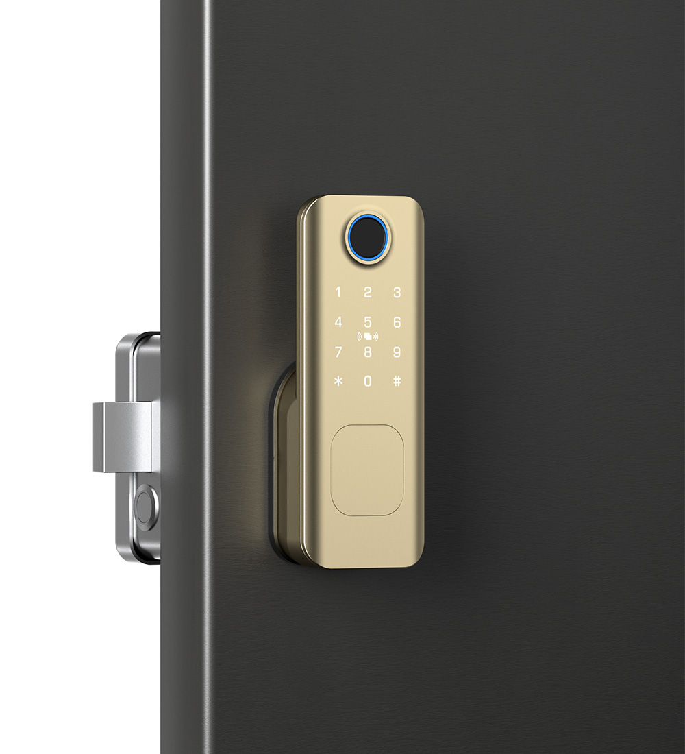 Rim Type Fingerprint Door Lock YFF-N1