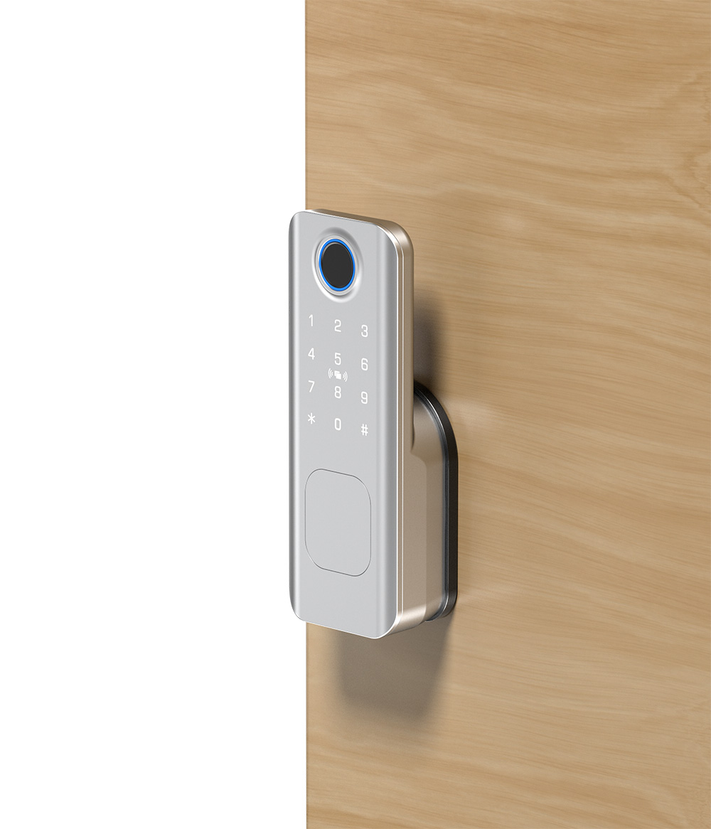 Rim Type Fingerprint Door Lock YFF-N1