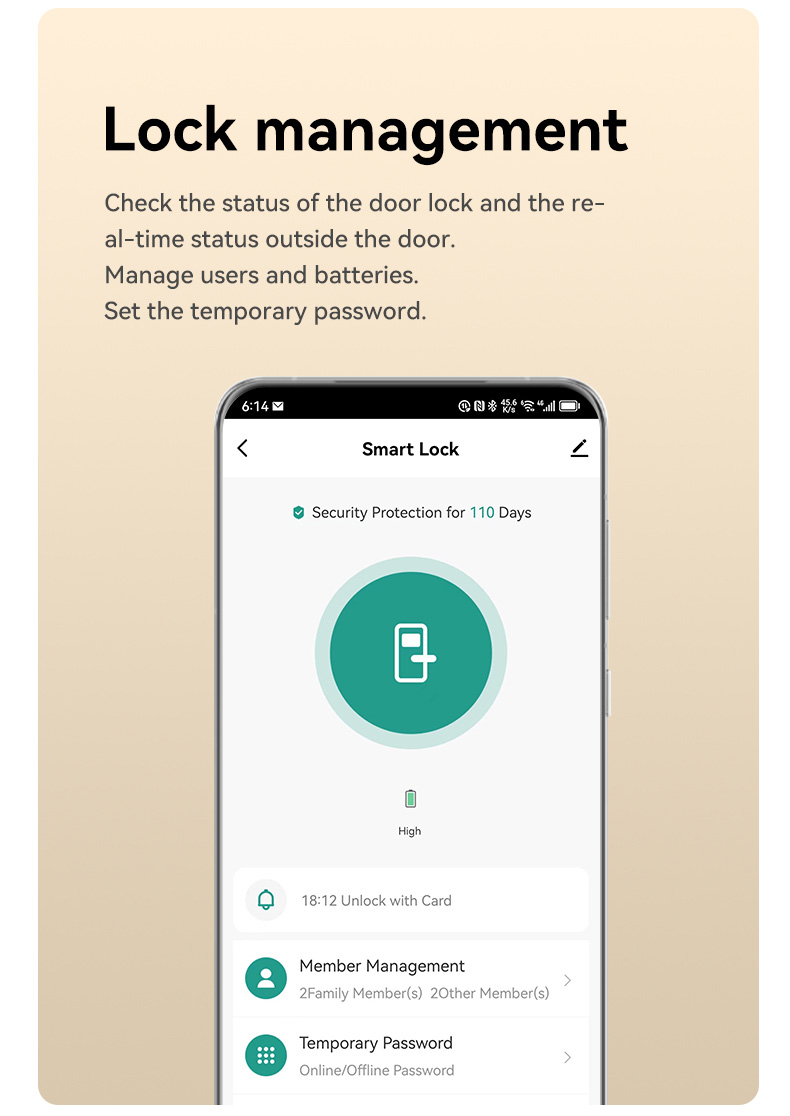 Passcode 5050 Mortise Smart Lock YFP-B2