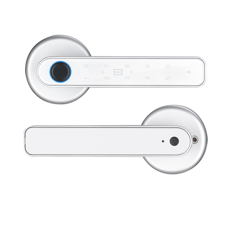TTlock Smart Handle With Card Function YFBF-L2