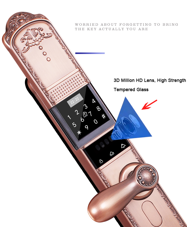 Smart Home Lock YFFR-RY03