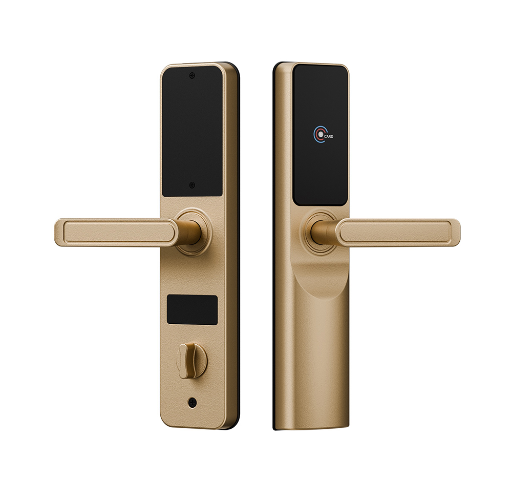 Door Entry Lock YFH-FS13