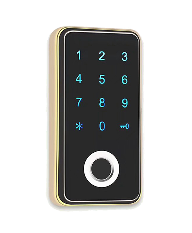 China Electronic Fingerprint Locker Lock EMPF118