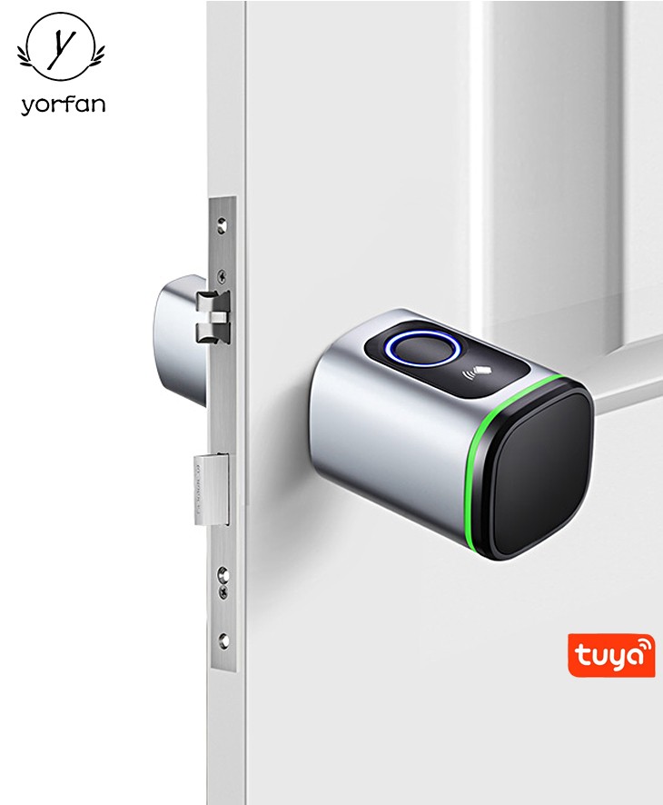 Tuya Or TTlock Bluetooth Fingerprint Door Lock YFBF-S1