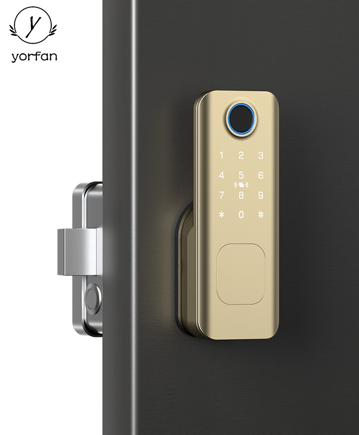 Rim Type Fingerprint Door Lock YFF-N1