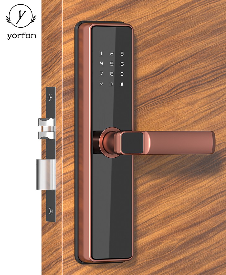 Passcode 5050 Mortise Smart Lock YFP-B2